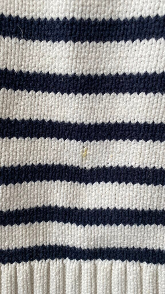 Stripe Cotton Rollneck Sweater