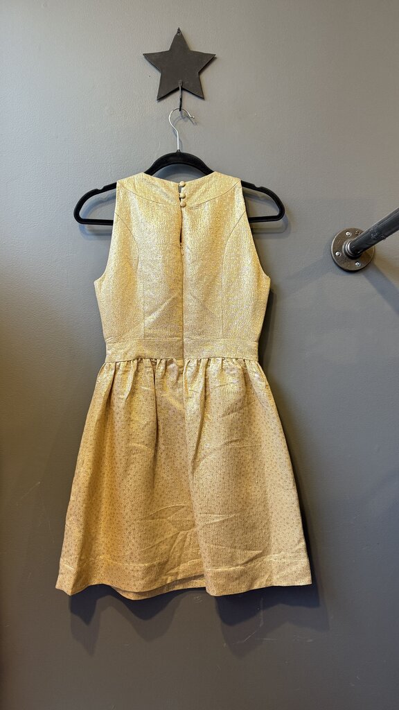 Beaded Metallic Fit Flare Dress