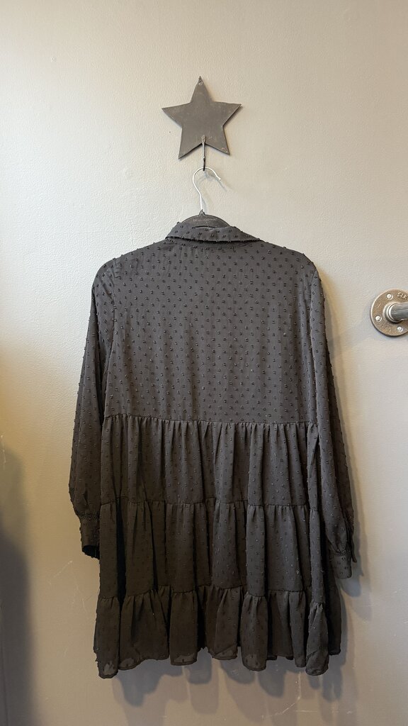 Swiss Dot Dropwaist Shirtdress