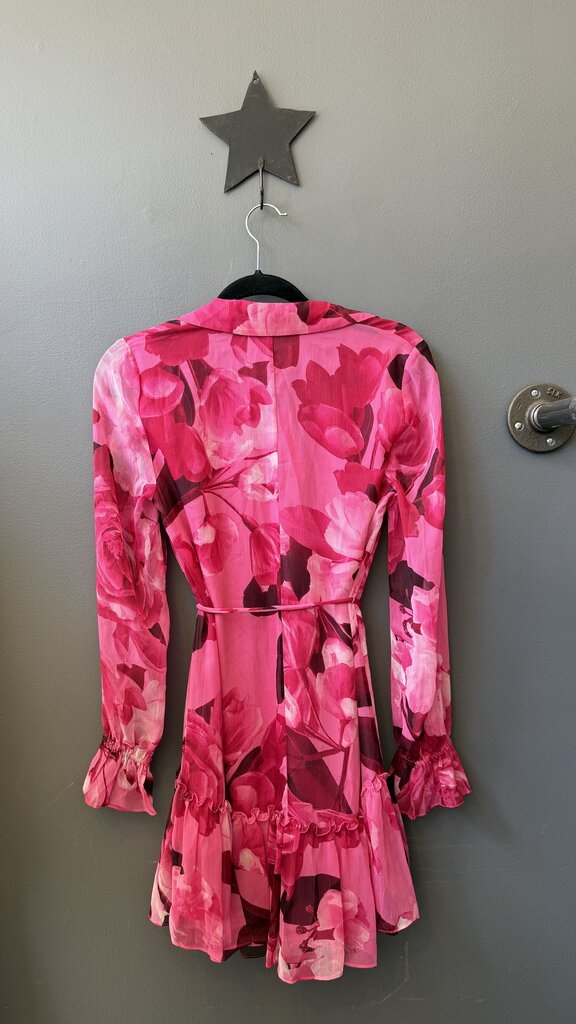 Rose Sheer Ruffle Floral Dress