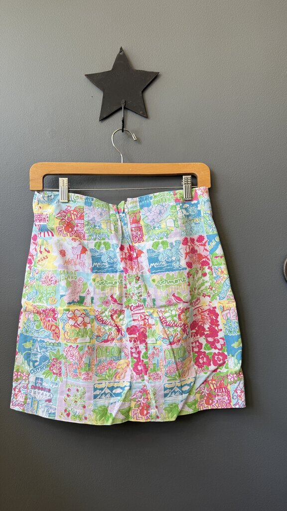 50 States Skirt