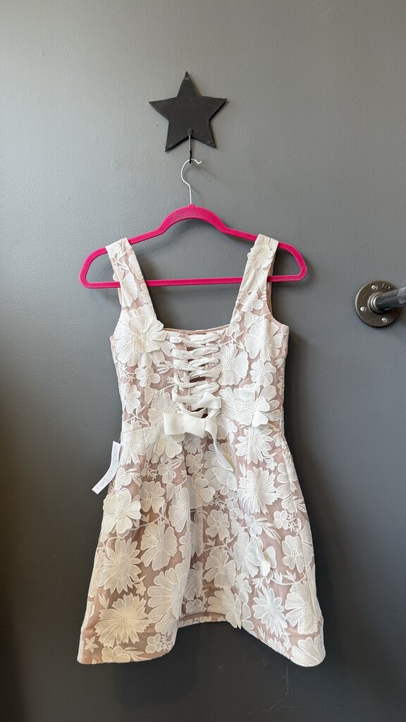 3D Lace Mini Dress