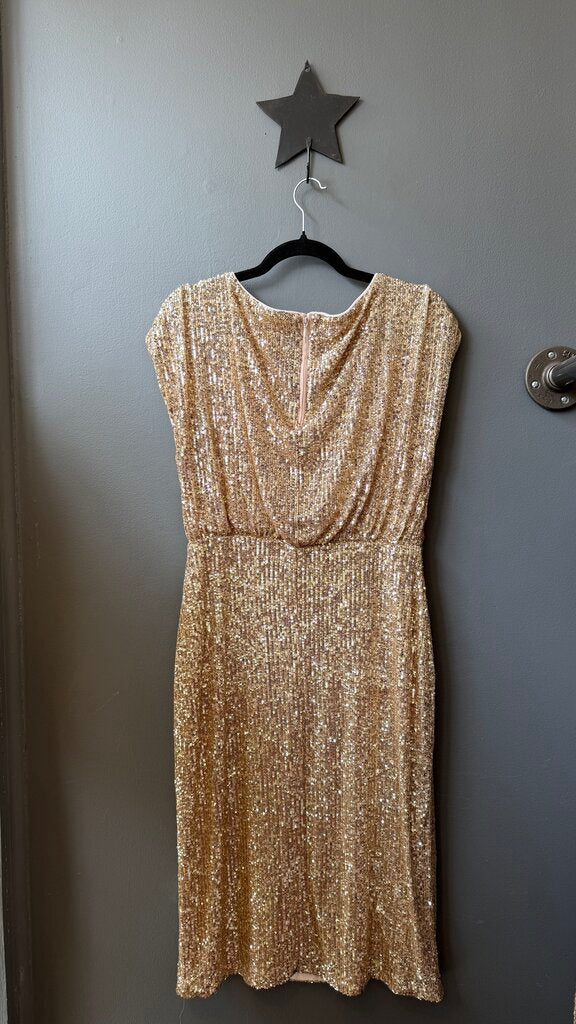 Aylin Sequin Midi Dress