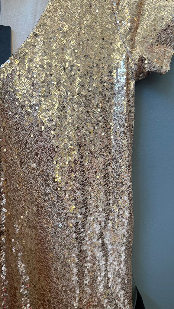 Sequin Shift Dress