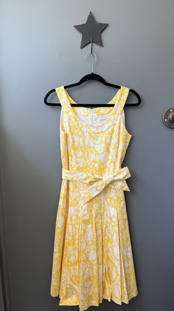 Print Belted Fit Flare Dress