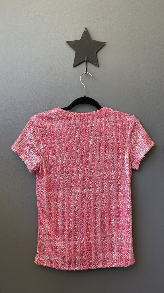 Sequin Vneck Top