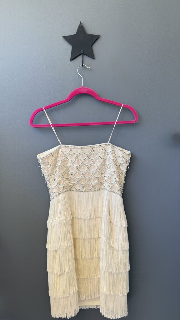 Fringe Beaded Dress