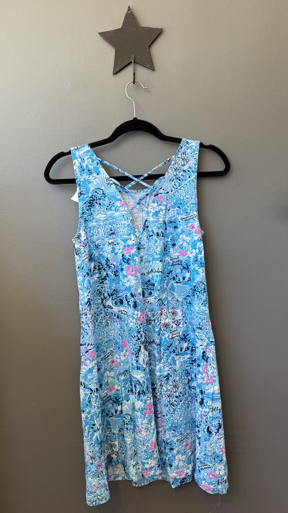 North Carolina Swing Dress
