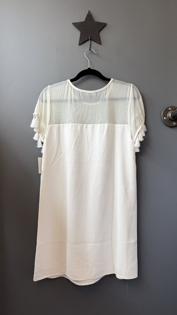 Fringe Sleeve Shift Dress