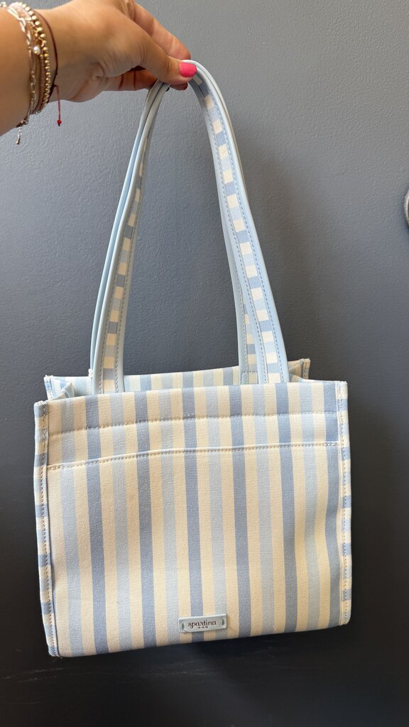 Stripe Embroidered Mini Tote Bag
