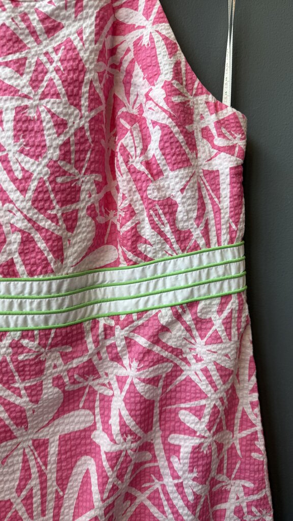 Dragonfly Seersucker Dress