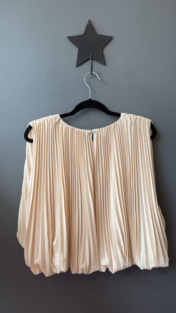 Pleated Blouse