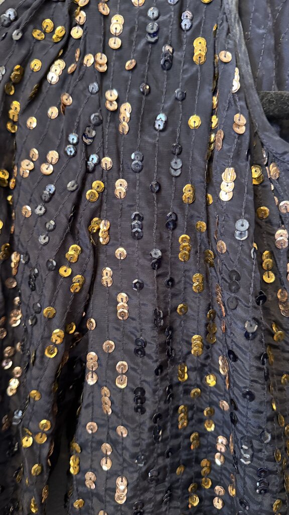 Sequin V neck Blouse