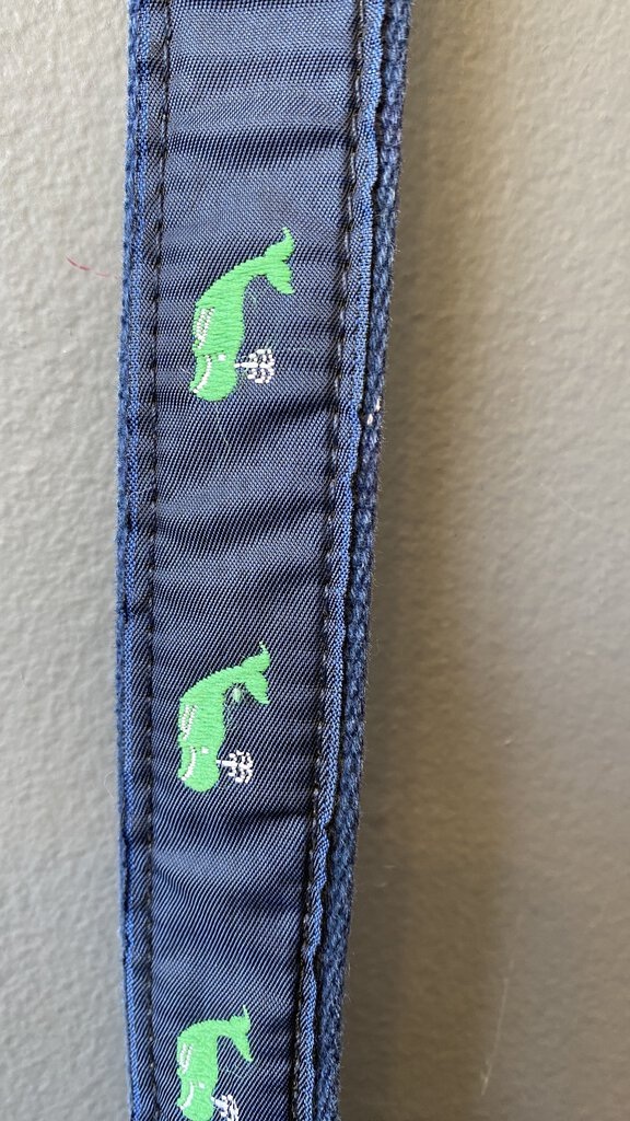 Whale Ribbon Belt