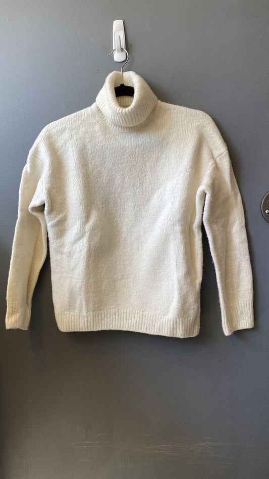 WoolBlend Turtleneck (as is)