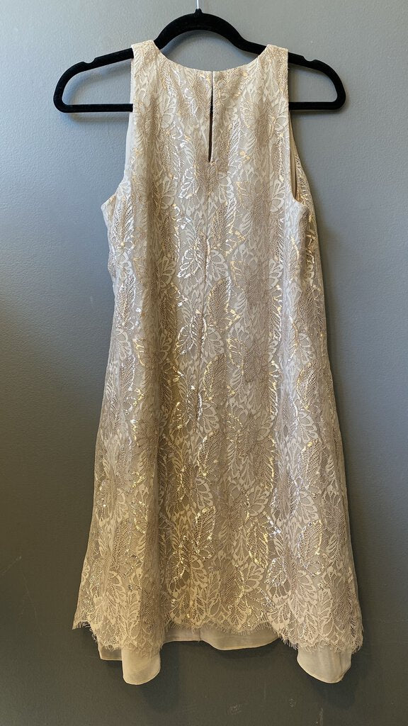 Metallic Lace Aline Dress