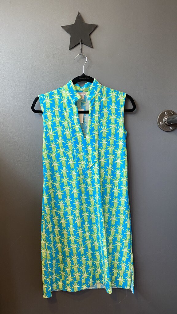 Notch Neck Pineapple Dress