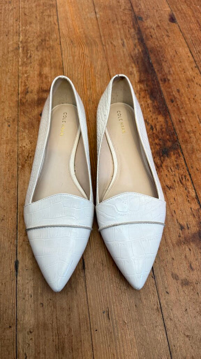 Pointed Leather Flats