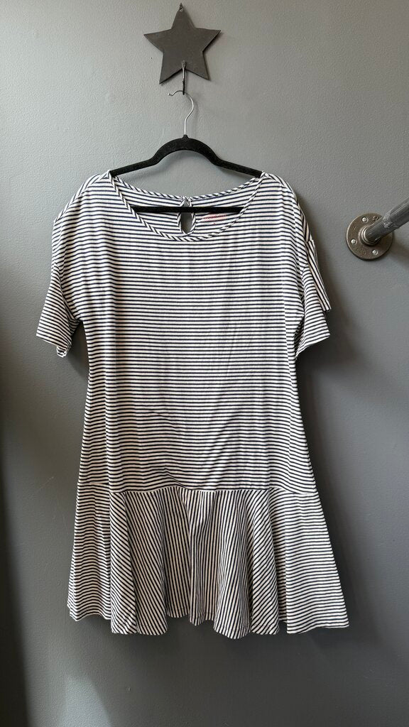 Drop Waist Stripe Knit Dress