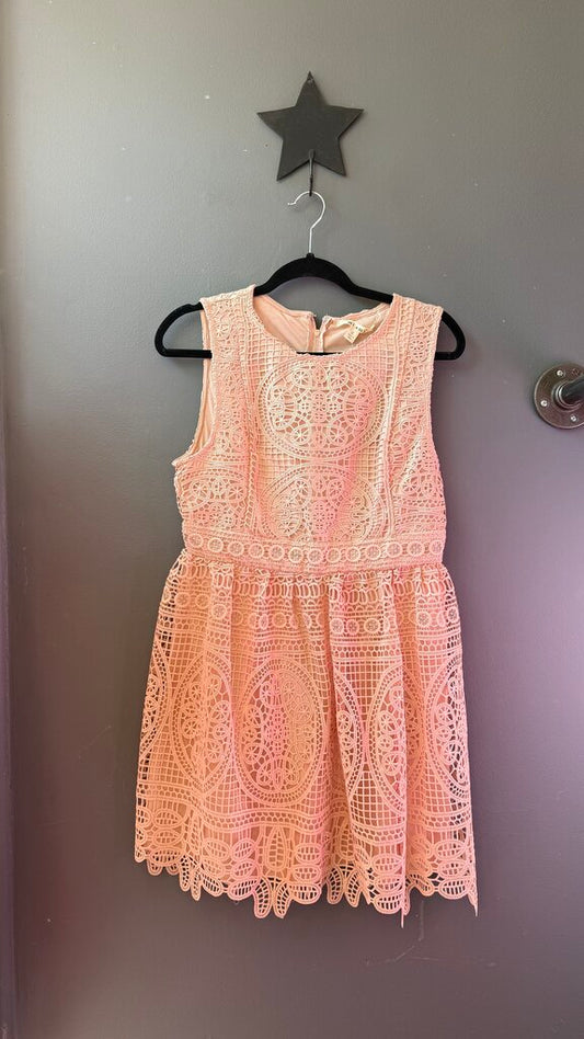 Lace Fit Flare Dress