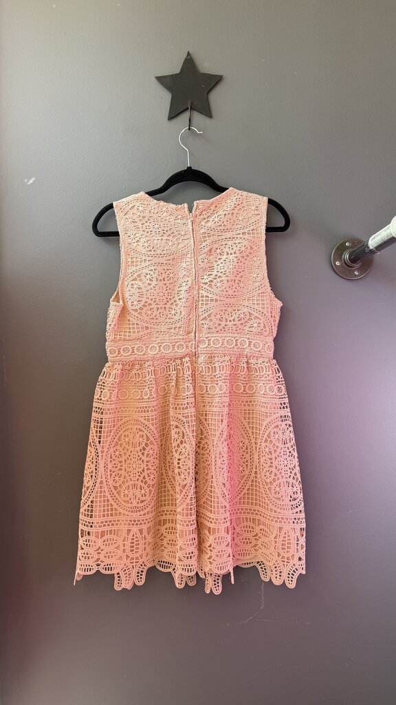 Lace Fit Flare Dress