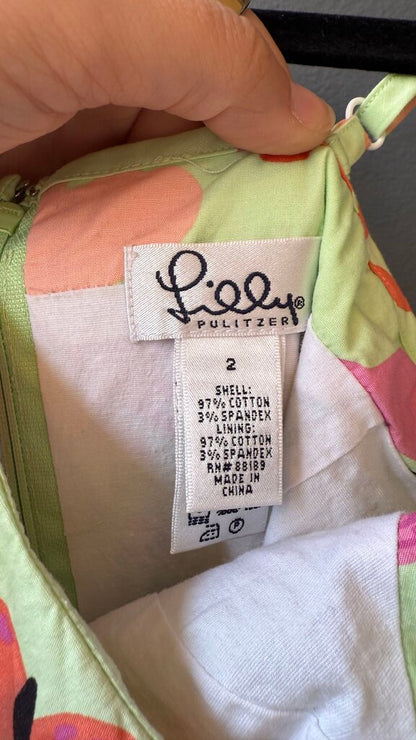 Vintage Butterfly Drop Waist Dress