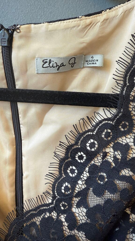 Lace Fit Flare Dress