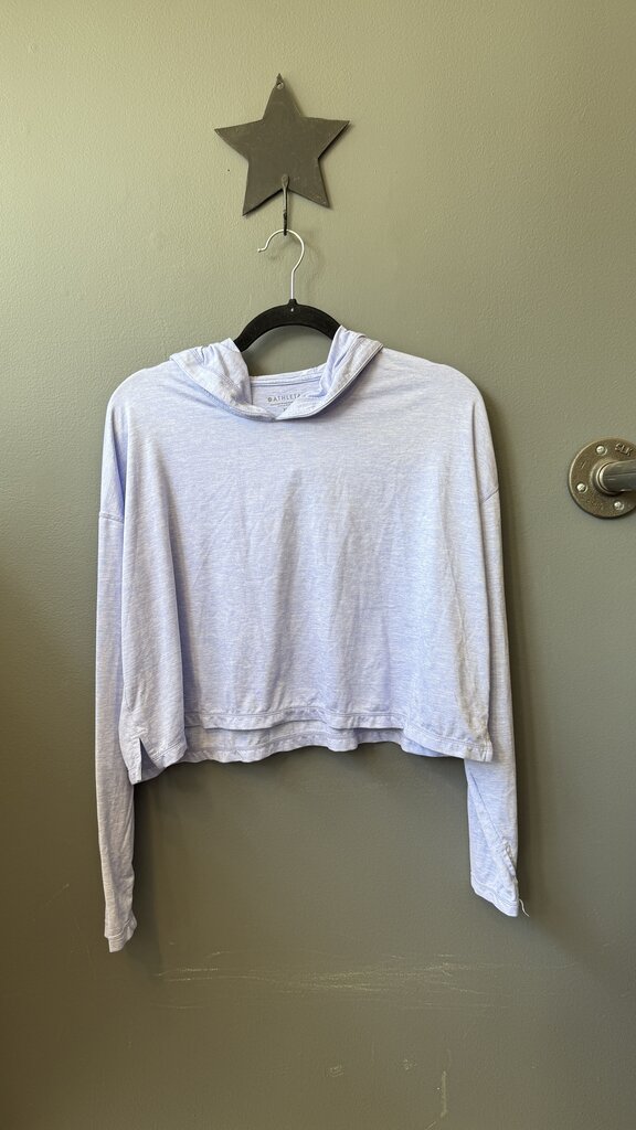 Heather Crop Hoodie