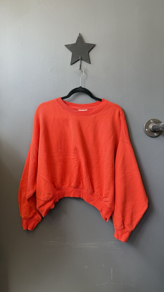 Crop Crewneck Sweatshirt