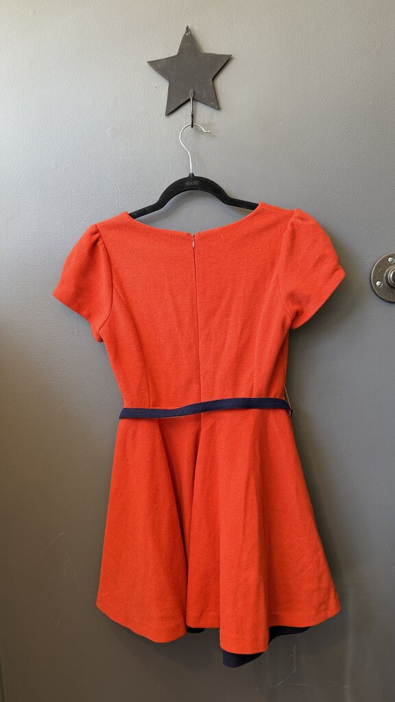 Woven Bow Belt Skater Dress