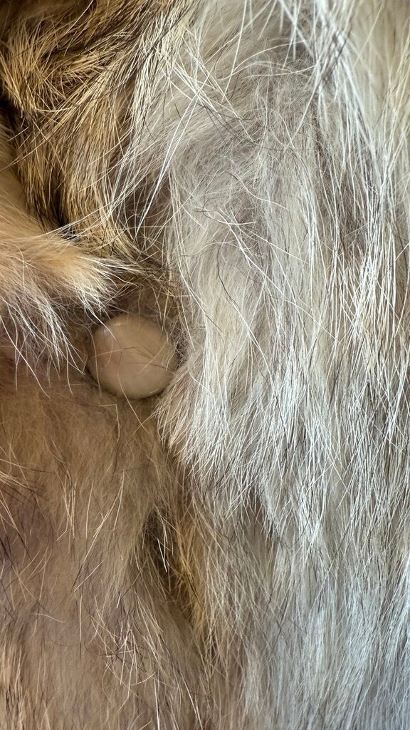 Fox Fur Drawstring Coat