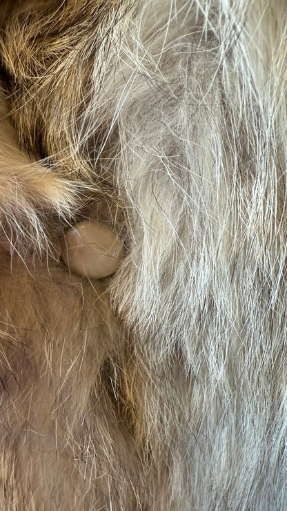 Fox Fur Drawstring Coat