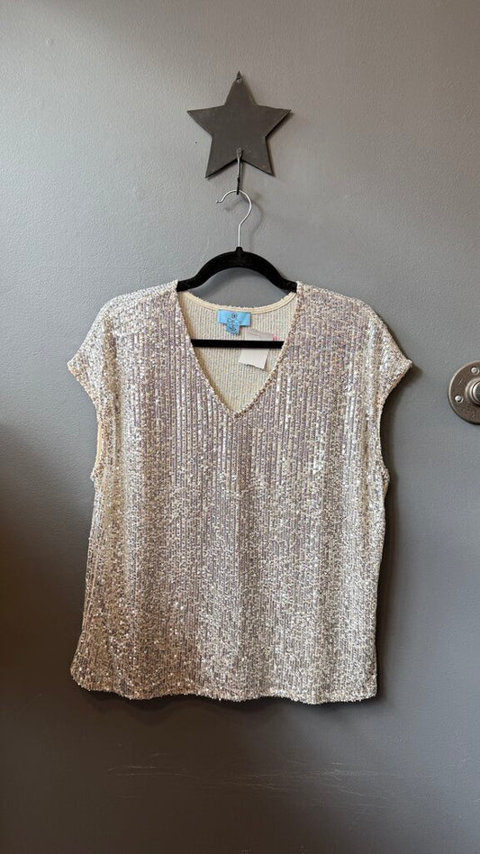 V neck Silver Sequin Top