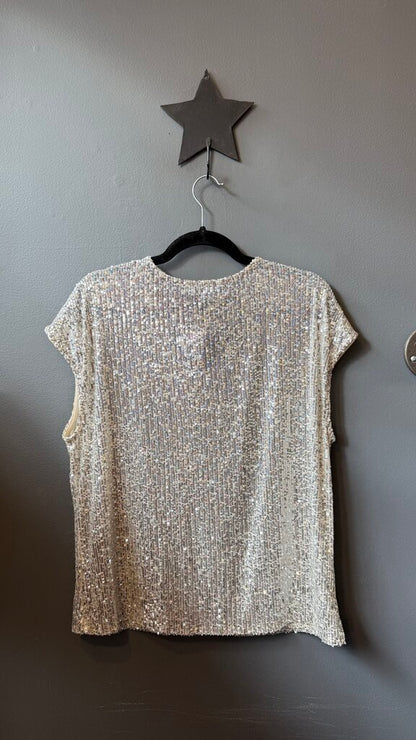 V neck Silver Sequin Top