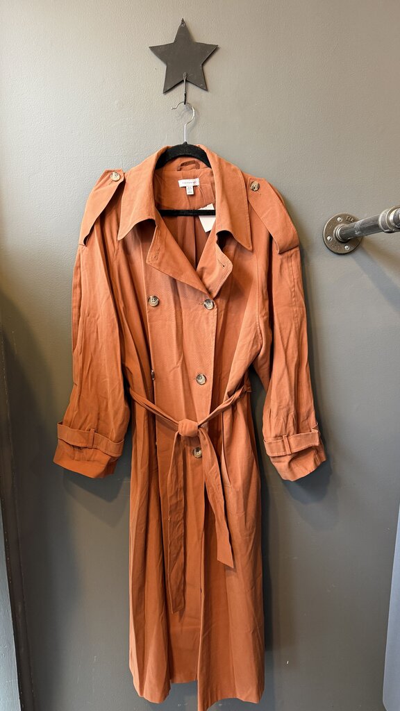 Long Light Trench Coat