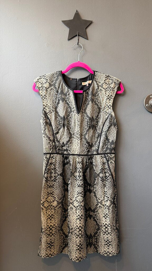 Snake Print Fit Flare Dress