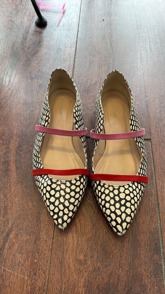 Dot Pointed Mary Jane Flats