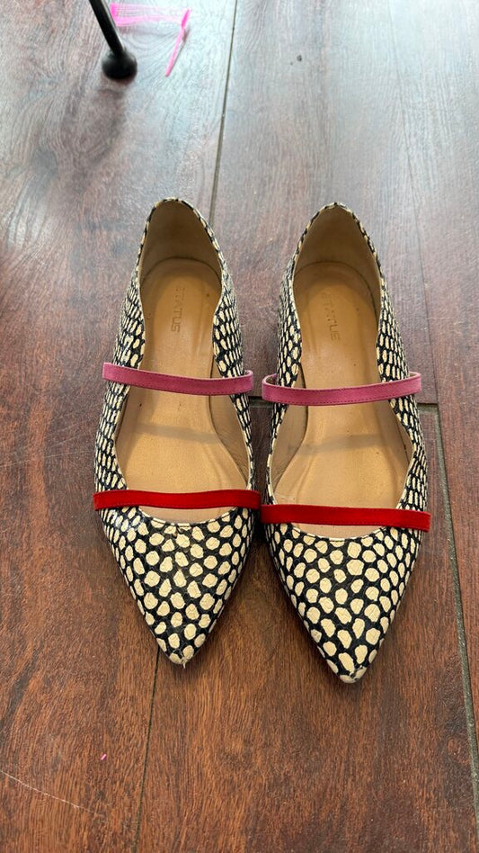 Dot Pointed Mary Jane Flats