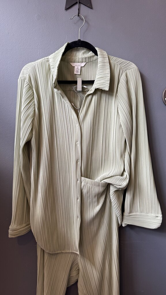 Pleated Pants + Button Up Shirt Set