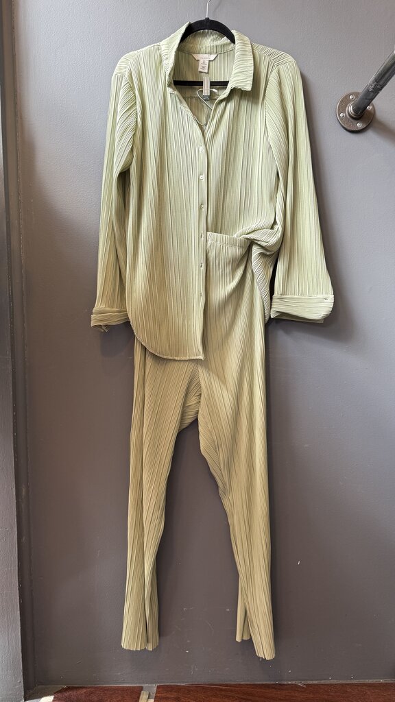 Pleated Pants + Button Up Shirt Set
