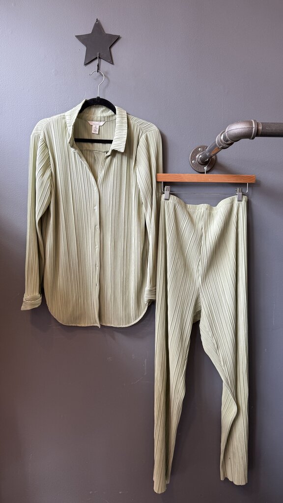 Pleated Pants + Button Up Shirt Set