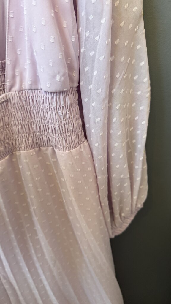 Swiss Dot Open Back Embroidered Midi Dress