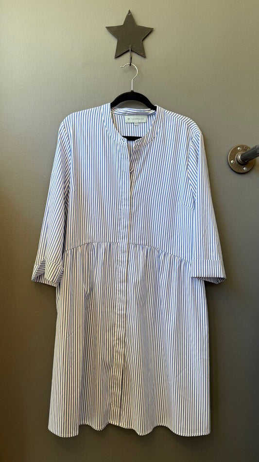 Striped Shirtdress