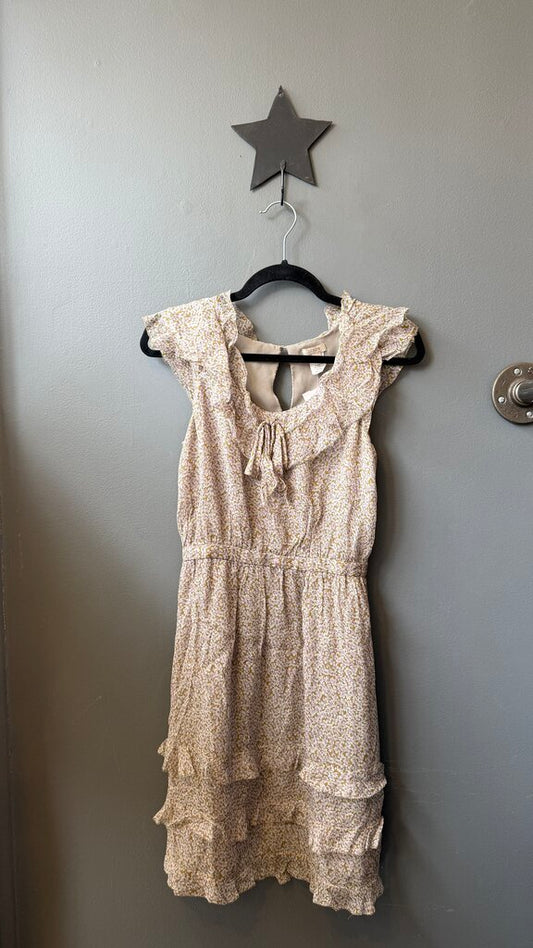 Silk Chiffon Ruffle Dress