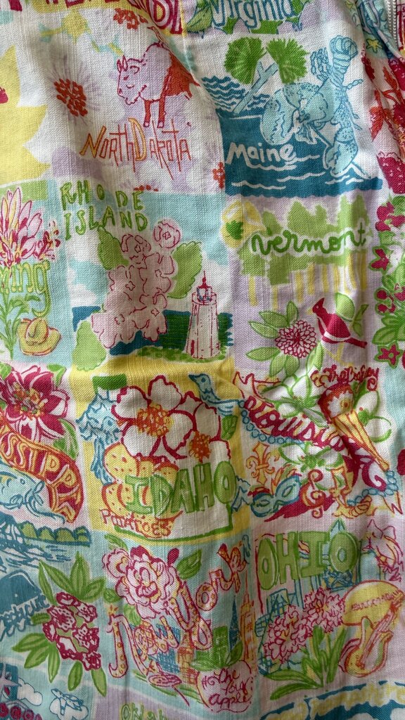 50 States Skirt