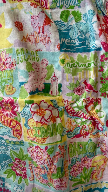 50 States Skirt