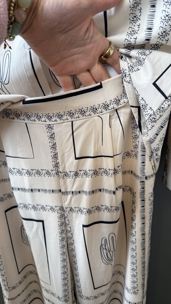 Cactus Wide Leg Pants + Button Up Shirt Set