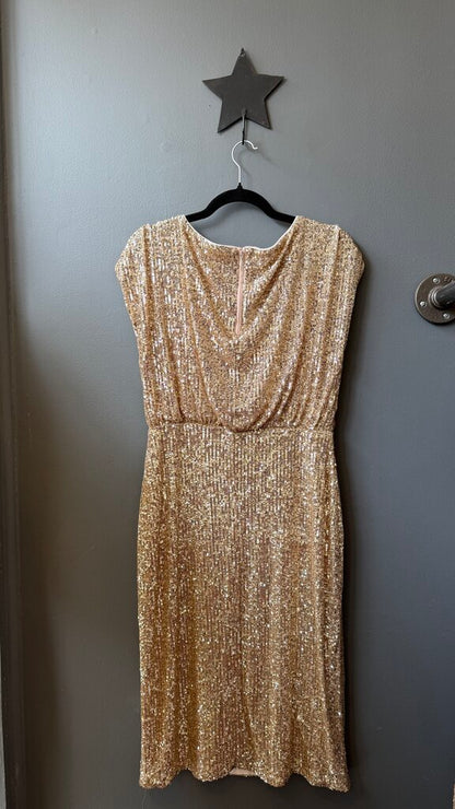 Aylin Sequin Midi Dress