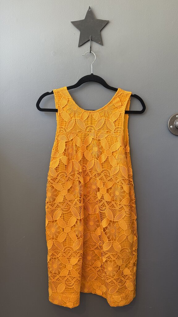 Lace Vback Shift Dress