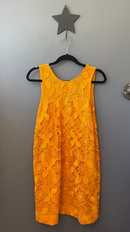 Lace Vback Shift Dress